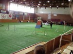 Pálya