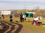 Pálya